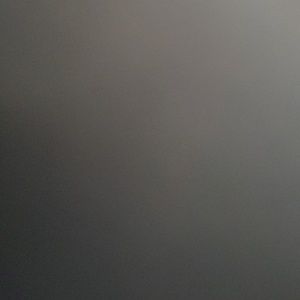 Meet your Posher, Donovan